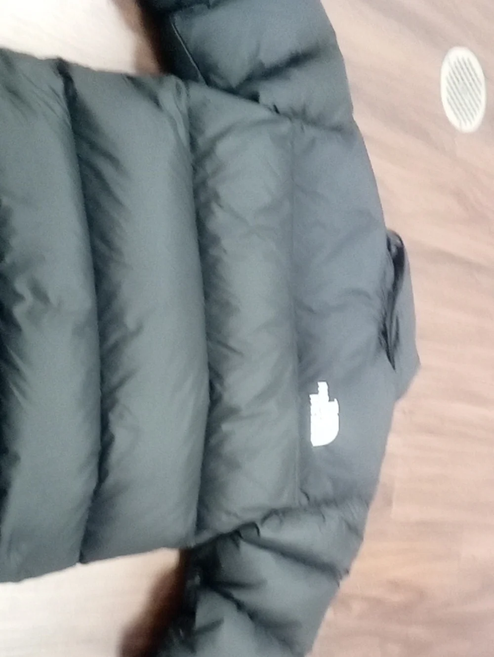 The North Face Black Men's Down Puffer Jacket